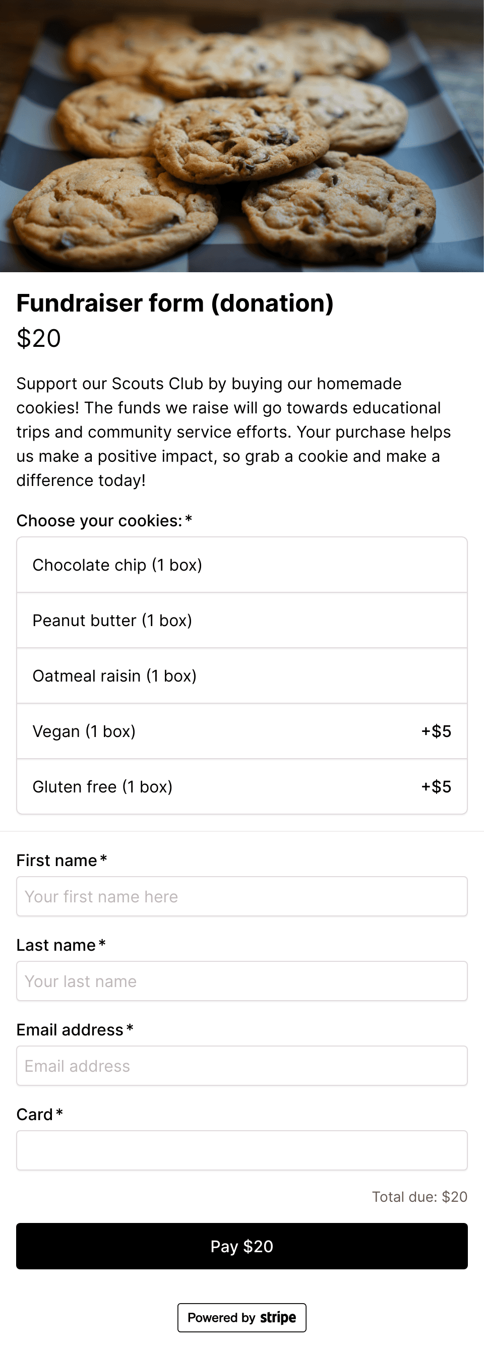 Fundraiser donation form template